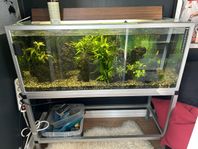 Akvarium 110 liter