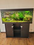 Akvarium Juwel 240 L