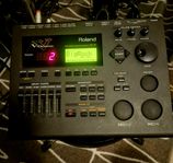 ROLAND TD10