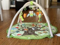 Skip Hop Babygym classic 