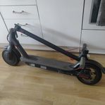 El scooter M365