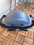 Weber elgrill