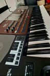 Keyboard Korg pa 700 oriental + stand