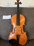 Trevlig fiol / violin 