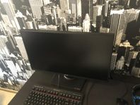 Gaming skärm 144hz 