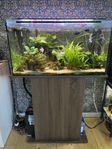 akvarium 100liter, 20liter