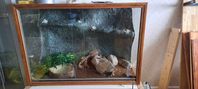 terrarium terrarier reptiler 