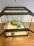 Terrarium Exo Terra Mini