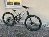 Specialized Stumpjumper Evo 