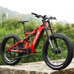 Winice E56 Kolfiber Fatbike 1500w