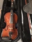 Violin