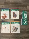 Sobotta Atlas of human anatomy 16th edition 4 böcker