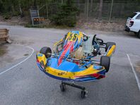 Rotax Max 125 Evo senior 