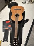 Gitarr cort ac250 nat 