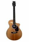  Martin SC-13E med gig bag. 