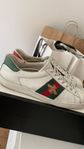 Gucci ace