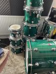 Stooort Premier Genista-kit