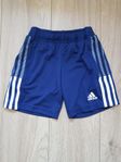 Adidas shorts Tiro 21