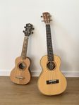 Tenor och sopran ukulele