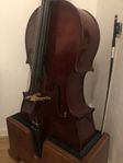 Fin Cello