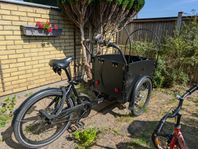 CargoBike Delight