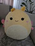 Squishmallows, squish 50cm