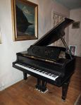 Steinwayflygel 