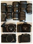 Olympus & Lumix MFT camera gears