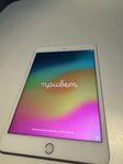 iPad Mini gen 5 - 256GB