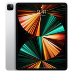 iPad Pro 12,9 inch 5th generation 512 gå MED TILLBEHÖR