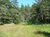 TOMT PÅ ÖLAND SÖDER OM BORGHOLM