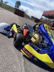 kz2 gold kart 