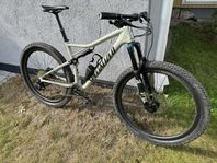 Specialized Epic Expert