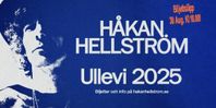 Håkan Hellström 13 juni, 6st sittplats