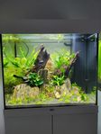 Juwel Lido 120l akvarium