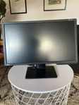 BenQ XL2411