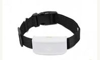 GPS halsband katt, liten hund