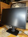 Dell monitor