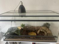 Terrarium med tillbehör 