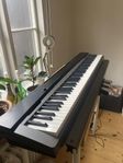 Keyboard med viktade tangenter Casio PX-130 