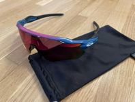 Oakley Radar EV Solglasögon