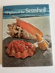 Kingdom of the Seashell