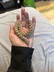 Trynsnok/Western hognose HONA