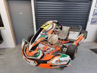 KZ Exprit med TM R1 motor Thisell trimmad