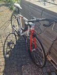 Wilier Triestina