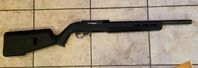 Ruger 10 22