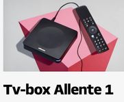 Allente viasat