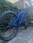 Specialized Rockhopper Sport 29