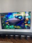 LG SMART 75"  UQ80 4K LED TV 