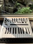 Korg Monologue - Analog synth